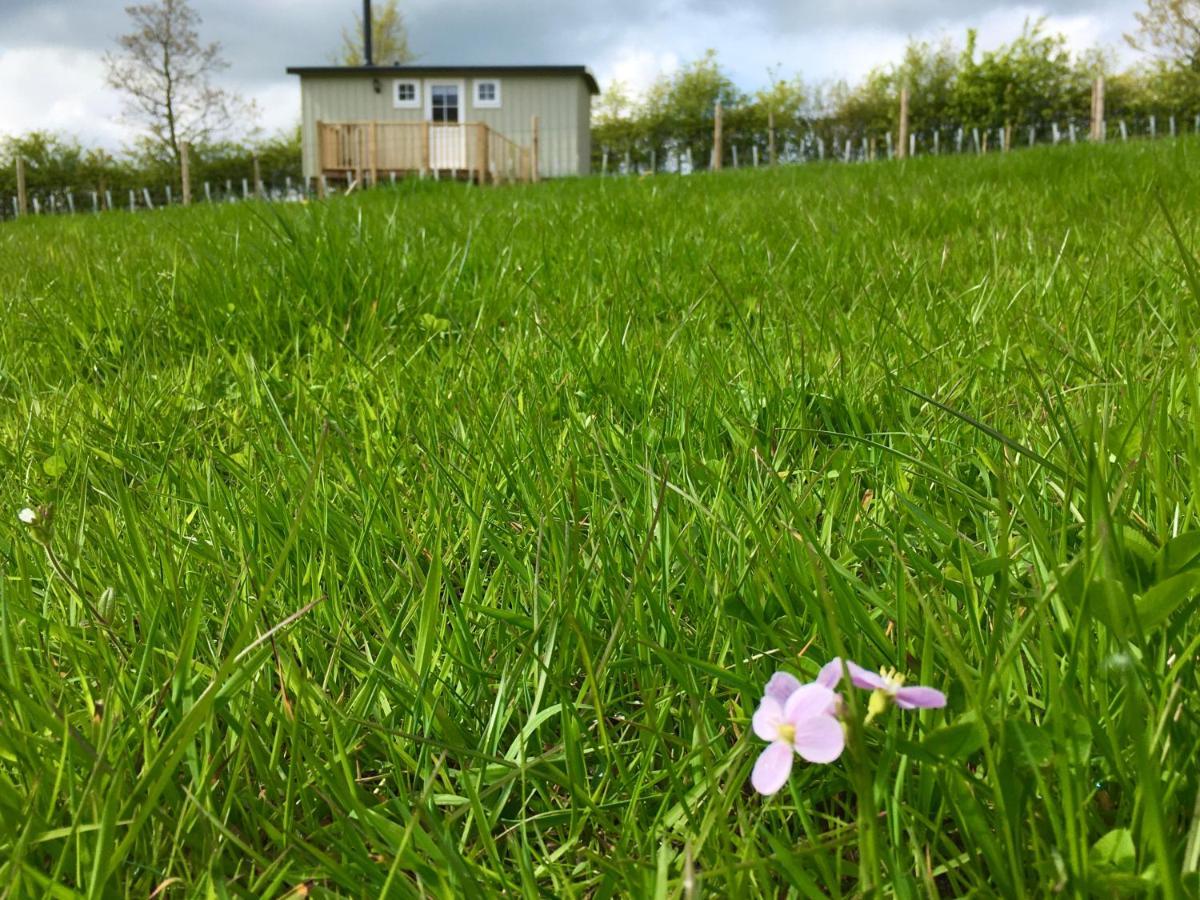 Rosemary Shepherds Hut, Clay Bank Huts Ingleby Greenhow Esterno foto